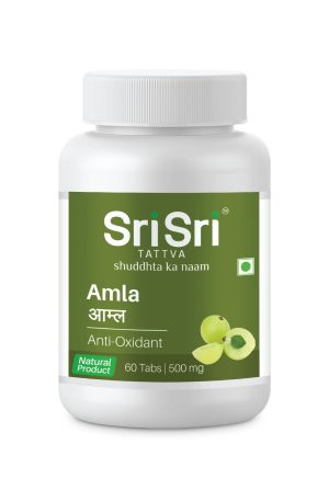 Amla - Anti Oxidant, 60 Tabs | 500 mg